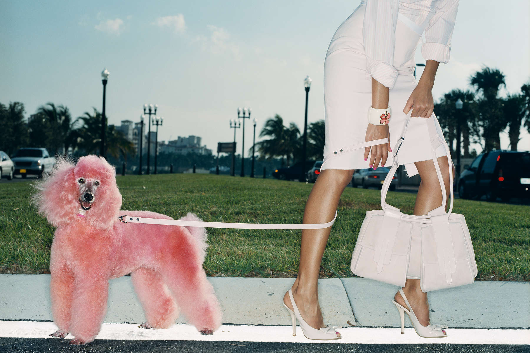 MIAMI ART BASEL WEEK 2025