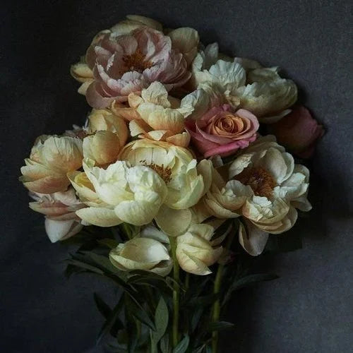 Modern Photography: A True Art Form