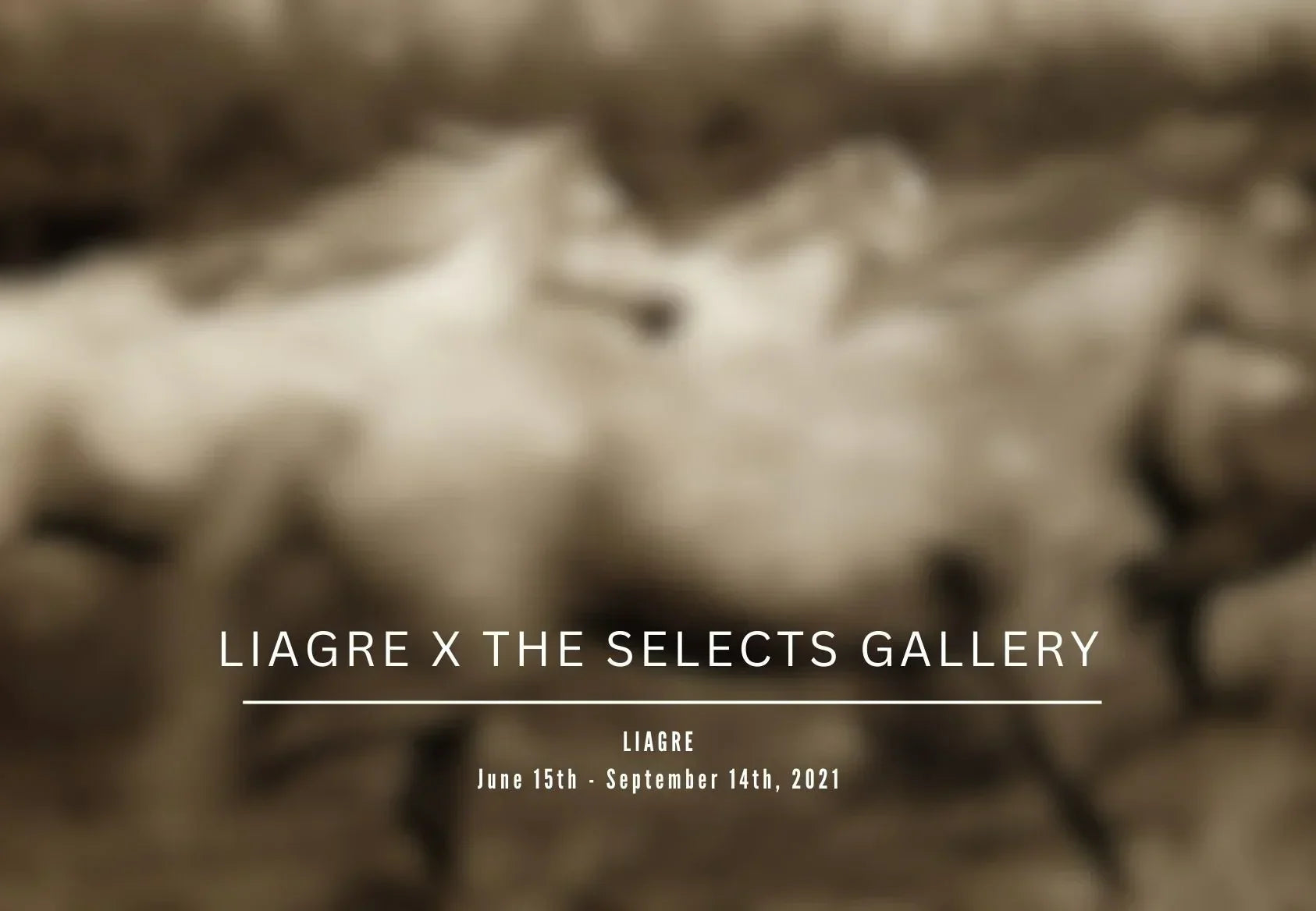 Liaigre X The Selects Gallery: The Organicity of Time
