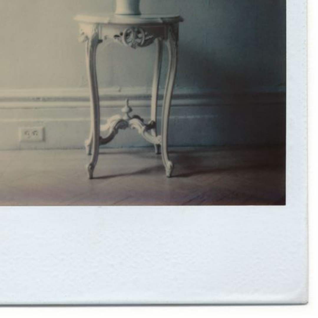 #134 – Flower in Vase