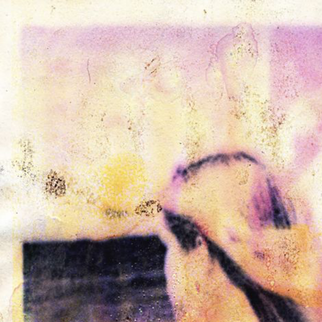 Wet Series 024V, 2018