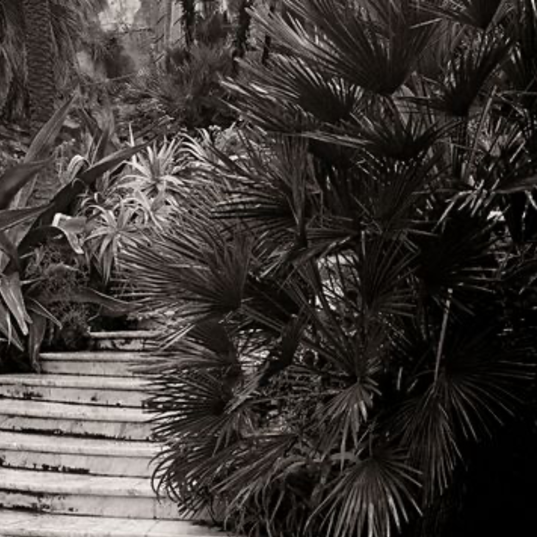 L’escalier, 1999, Naples