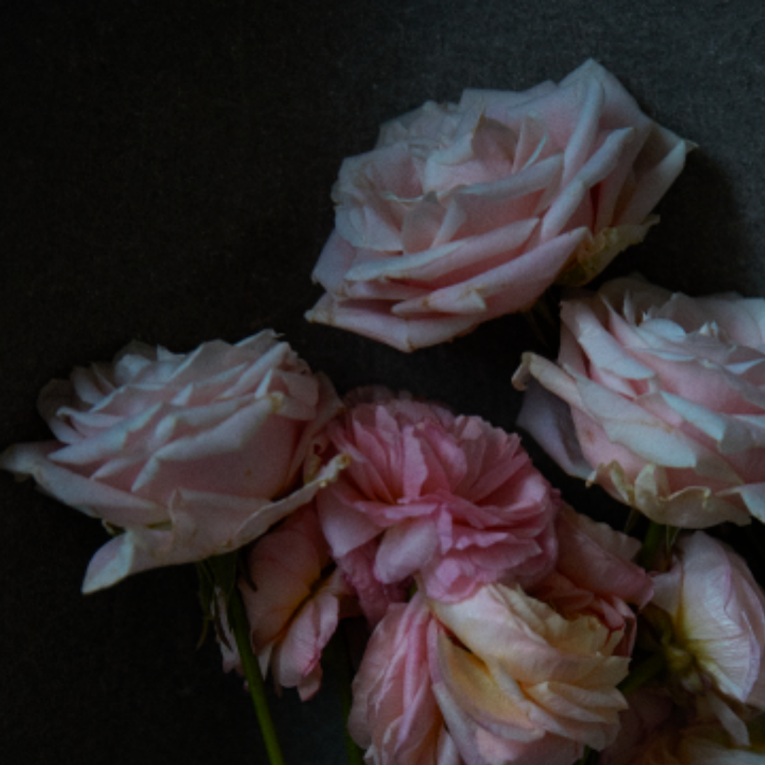 Quarantine Flowers II, VI, London, 2021