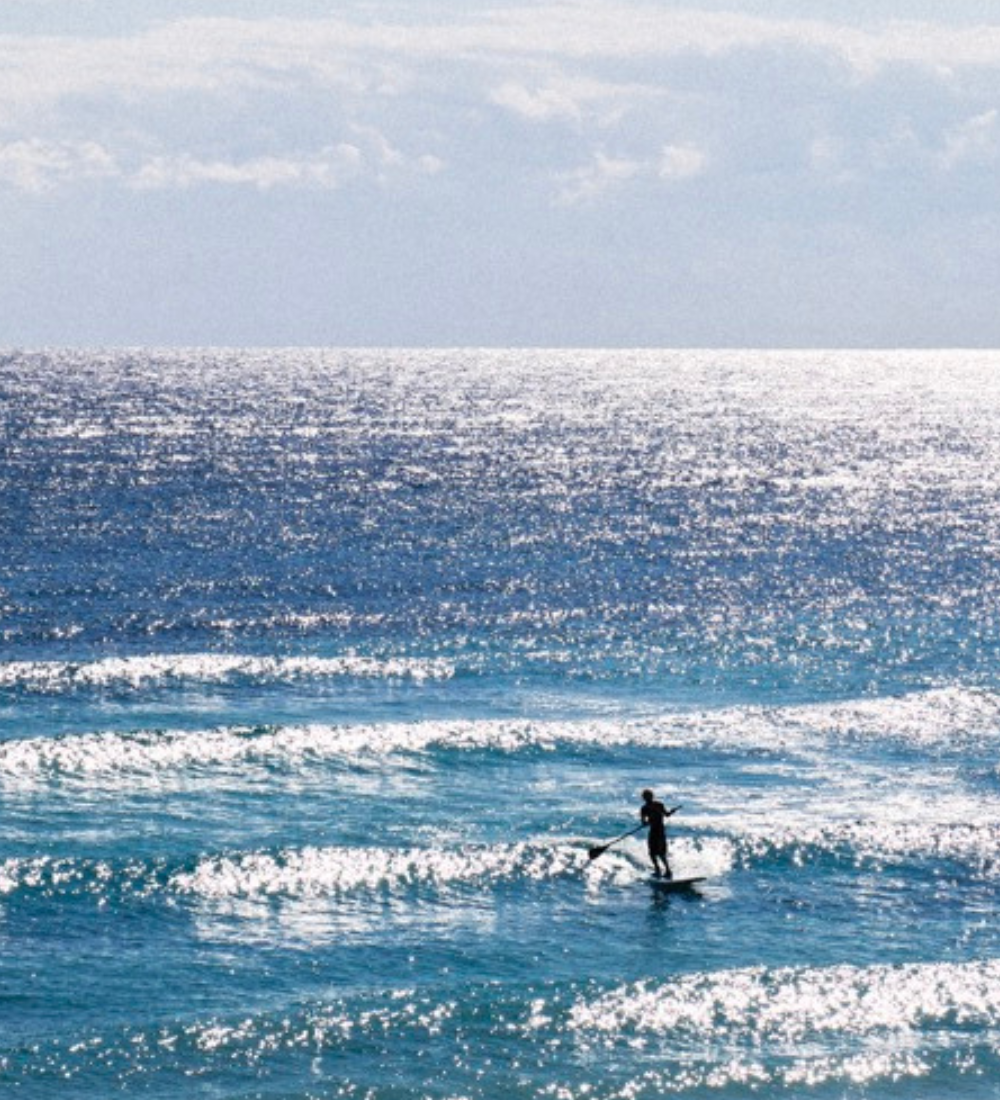 Blue is the Warmest Color