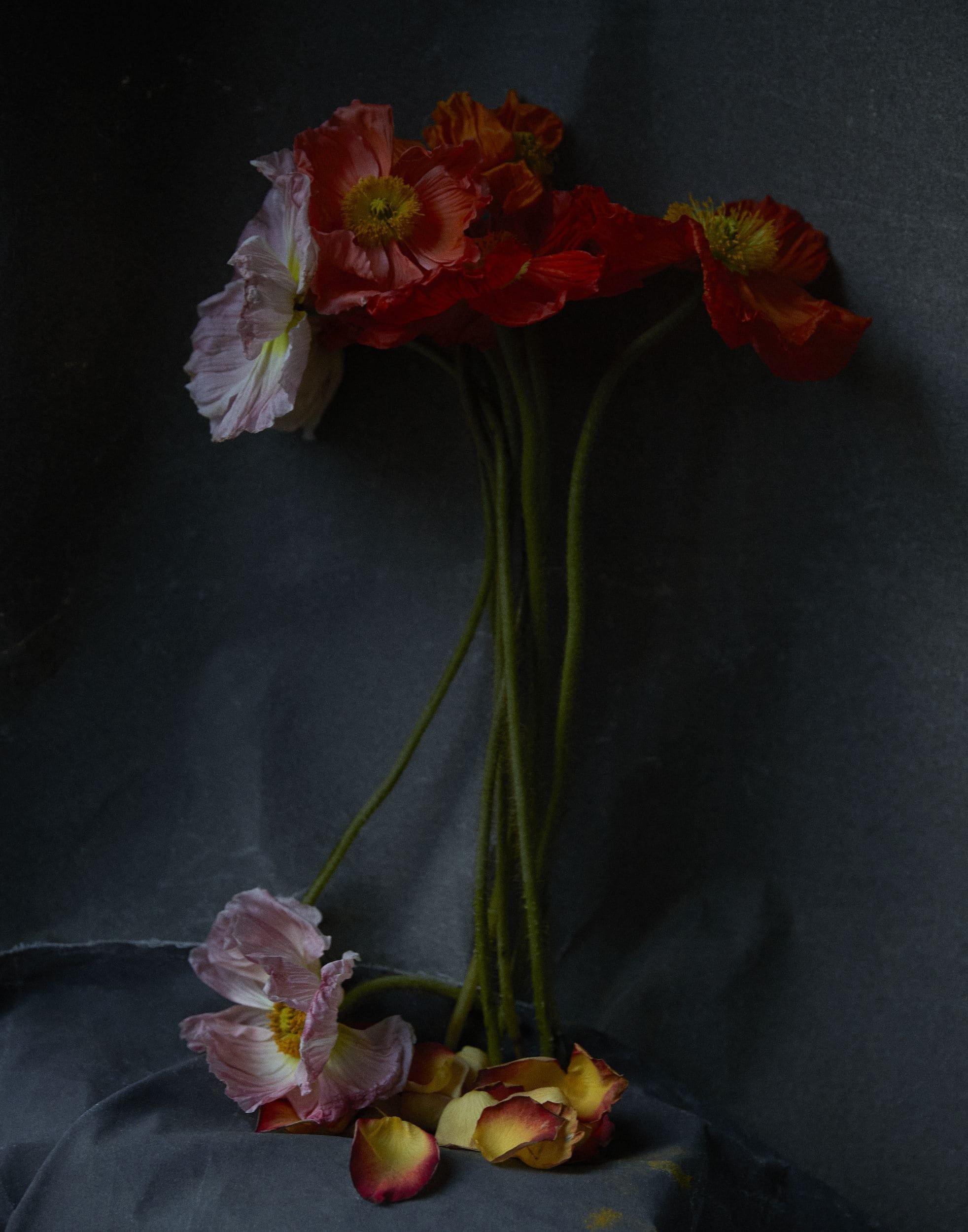 Quarantine Flowers, 2021