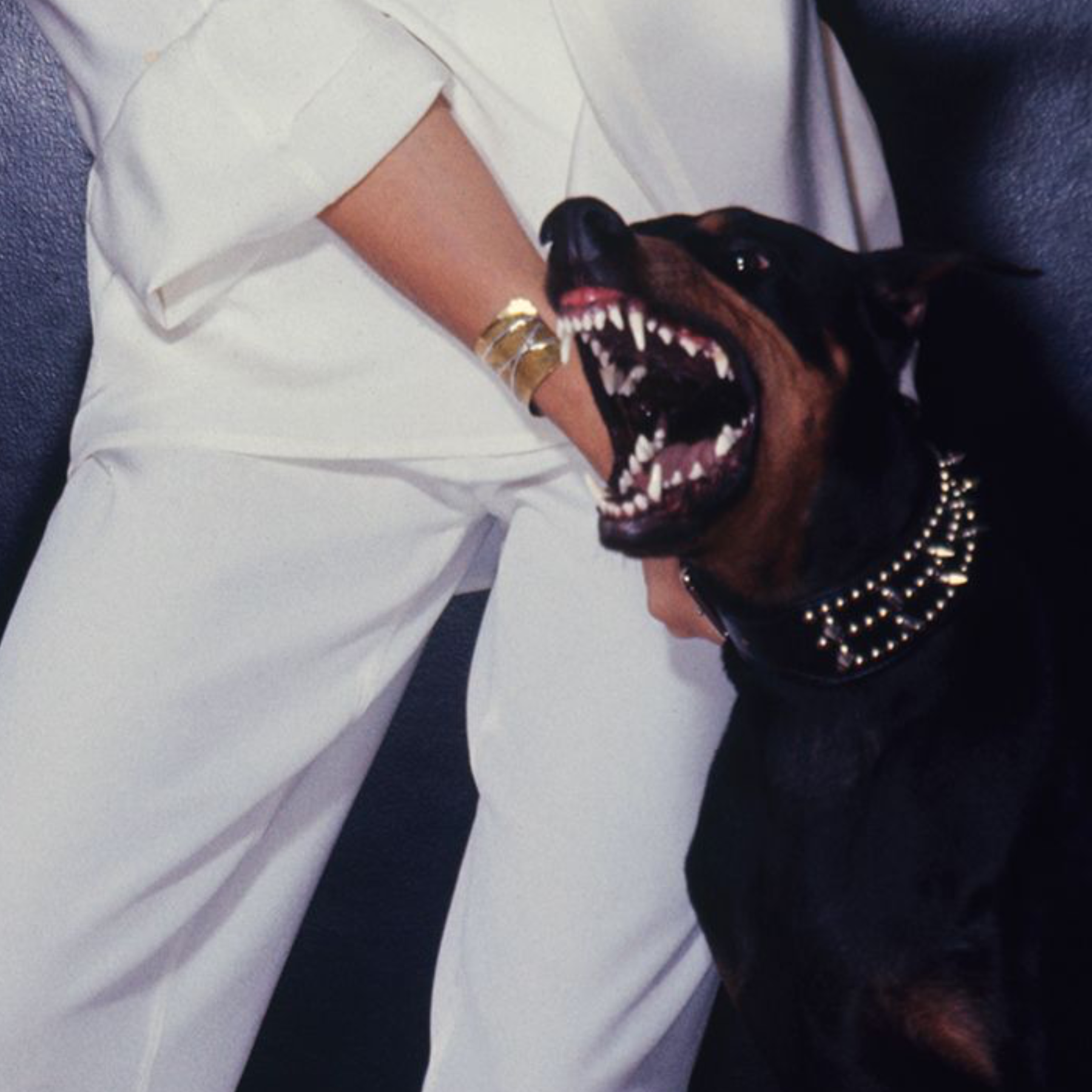 CHRISTIE BRINKLEY & WHISKEY II, 1977