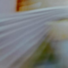 MIDNIGHT IN THE JUNGLE III