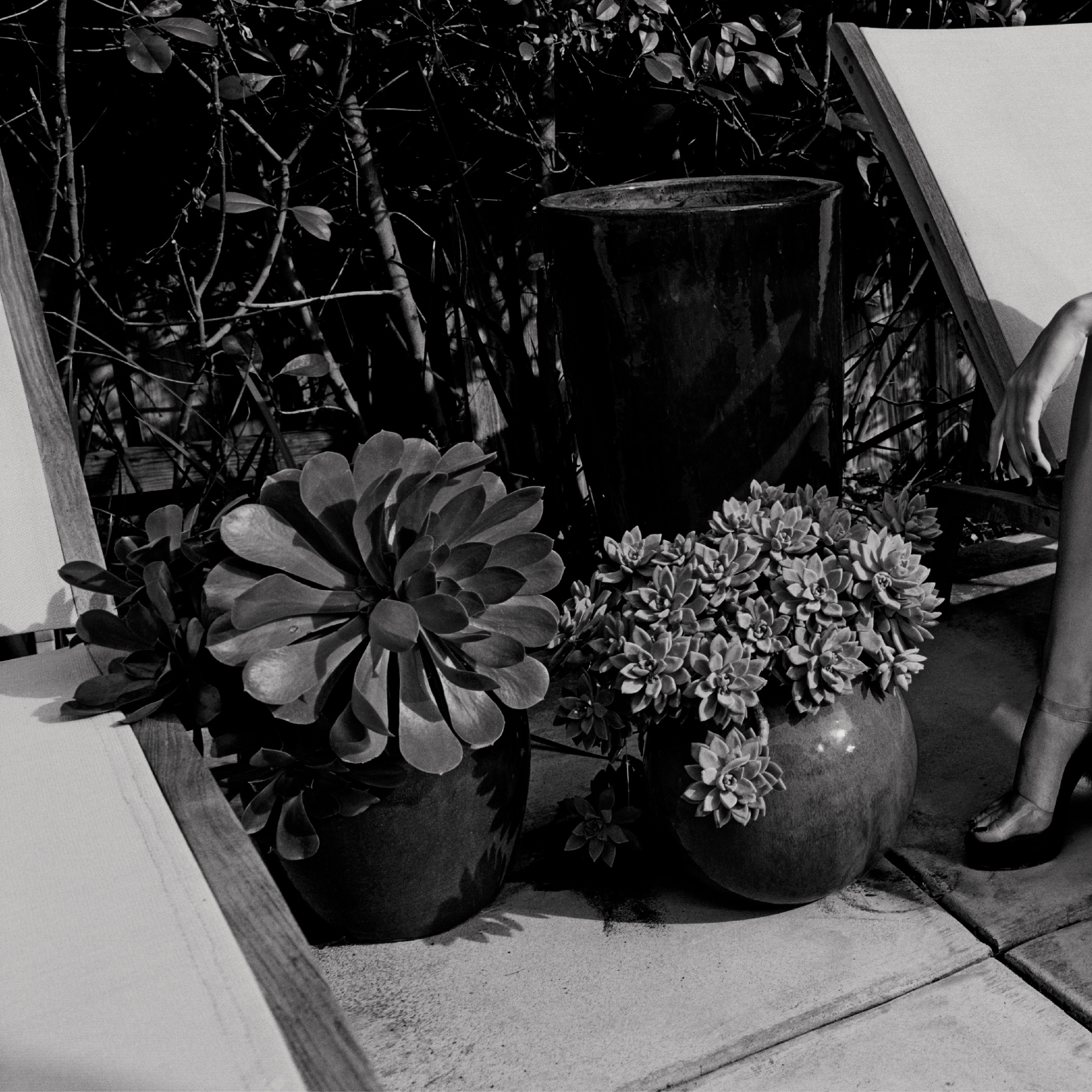 Alison by the pool , California, 2008