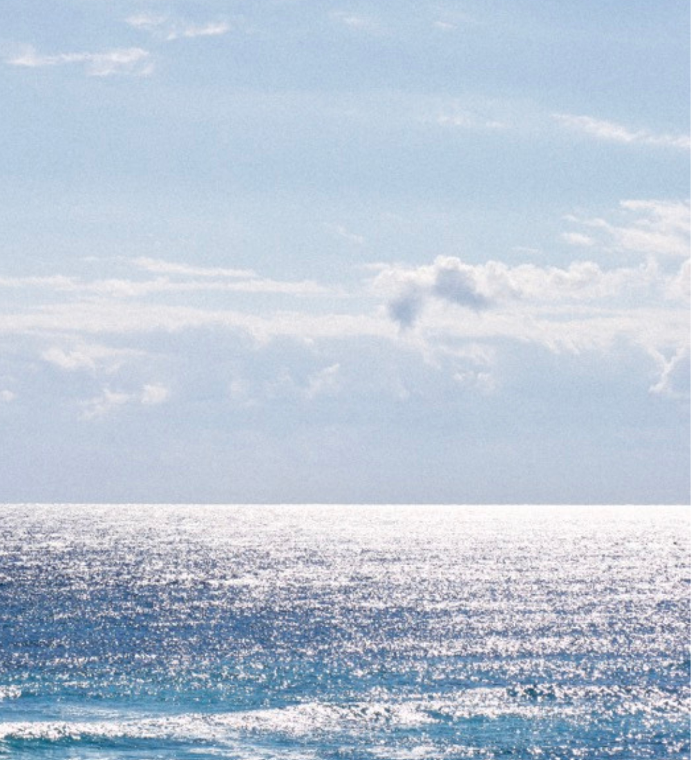 Blue is the Warmest Color