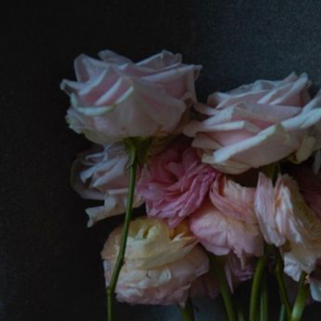 Quarantine Flowers II, VII, London, 2021