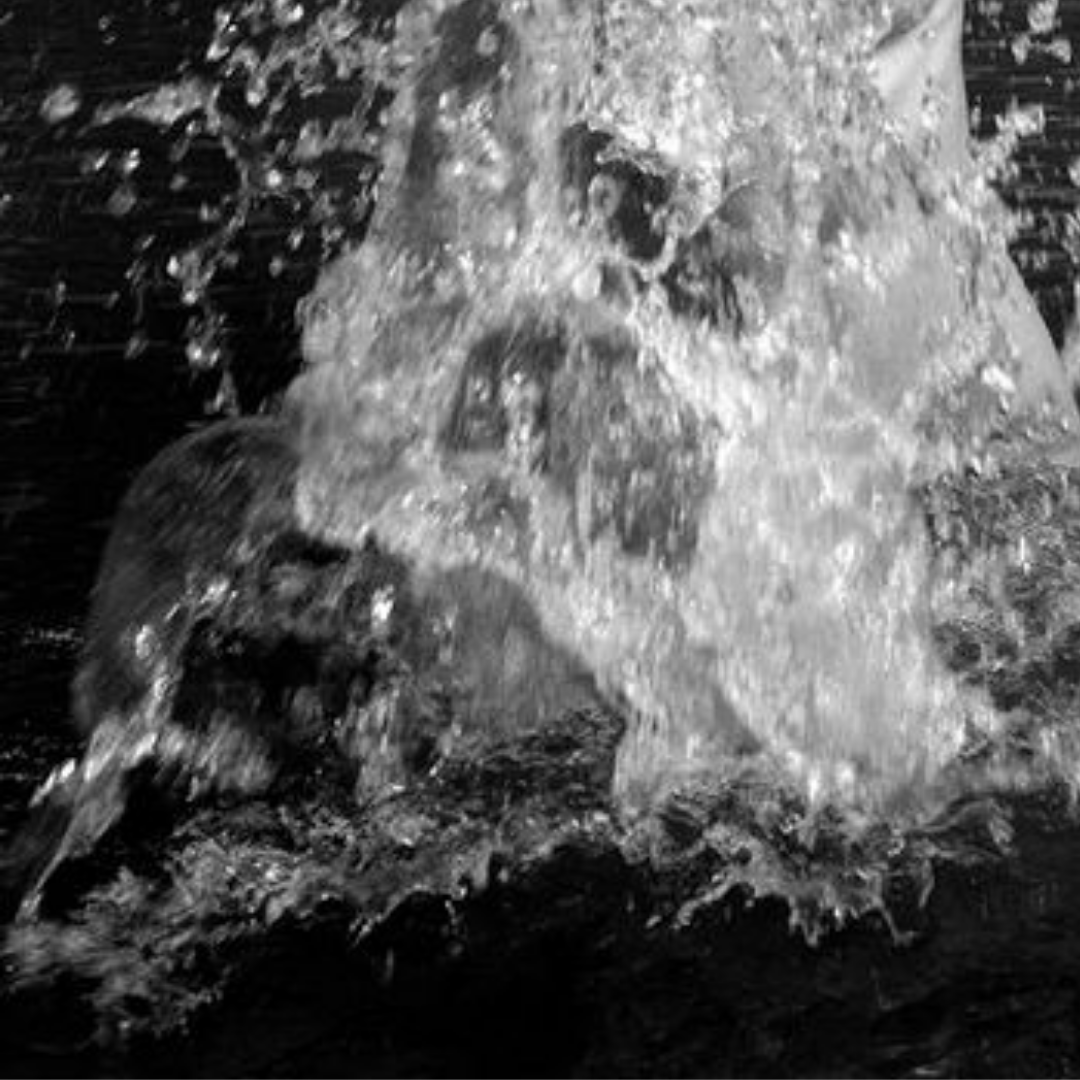 CAROLINE, L'INCONNUE DU LAC – GRAND SPLASH - ANNECY