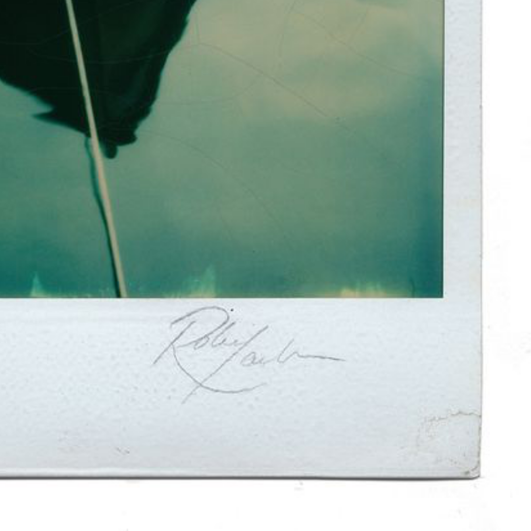 Polaroid SX70 #075 – Red Boat Portofino 1984