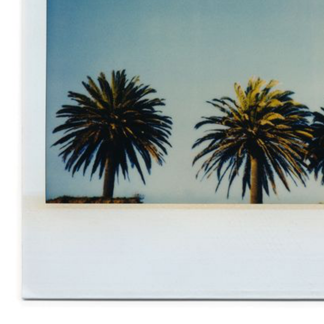 #005 - SANTA BARBARA