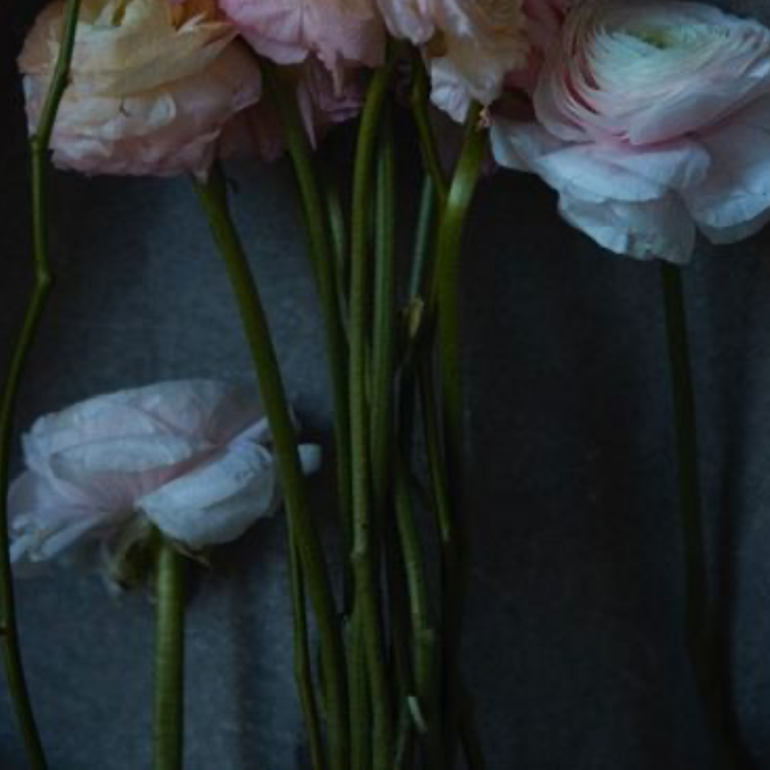 Quarantine Flowers II, VII, London, 2021