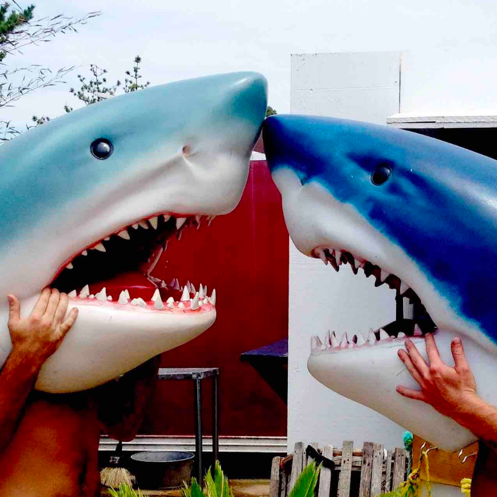 Montauk Dreaming, 07