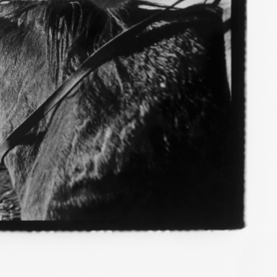 Moab III, Utah, 1999