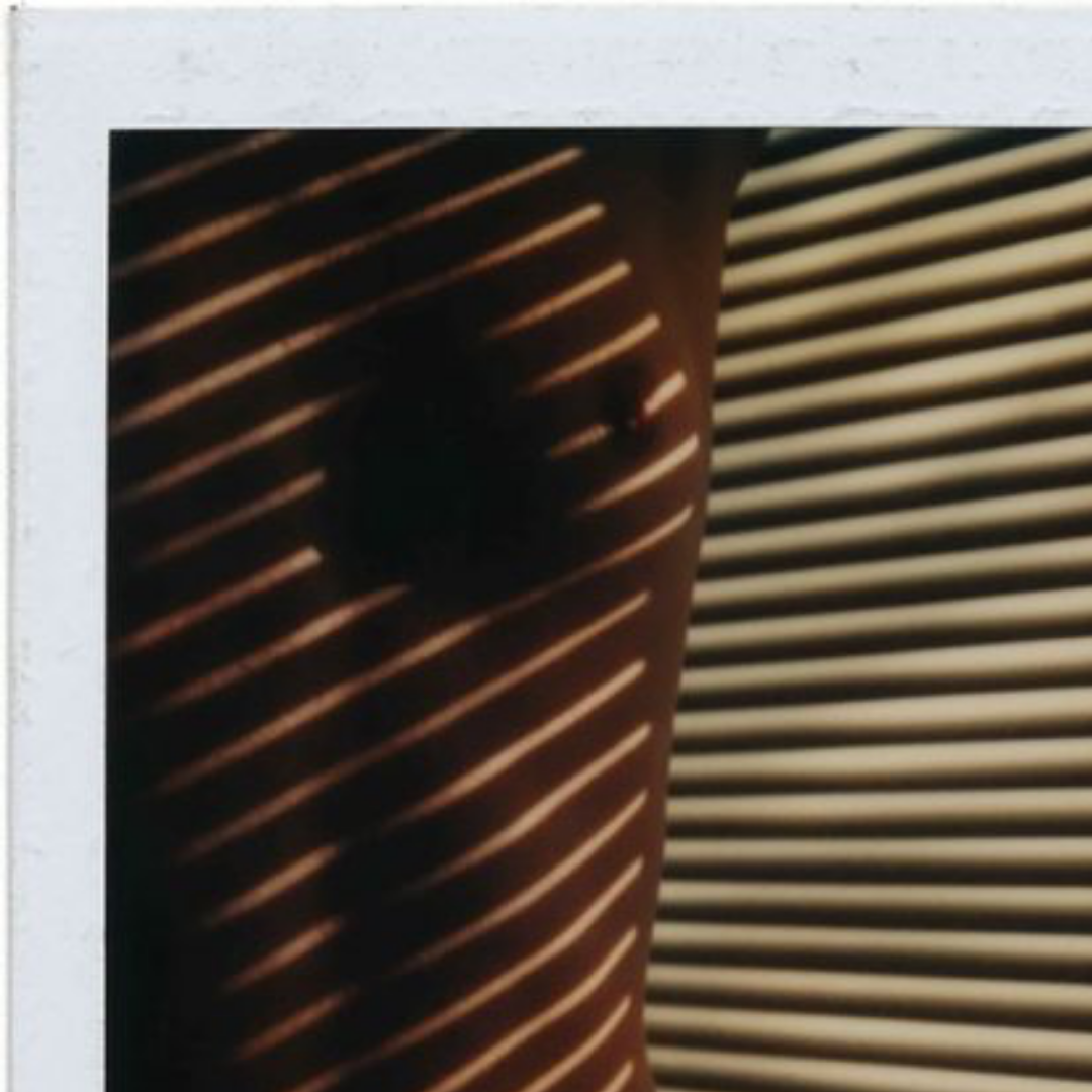 Blinds, 1981