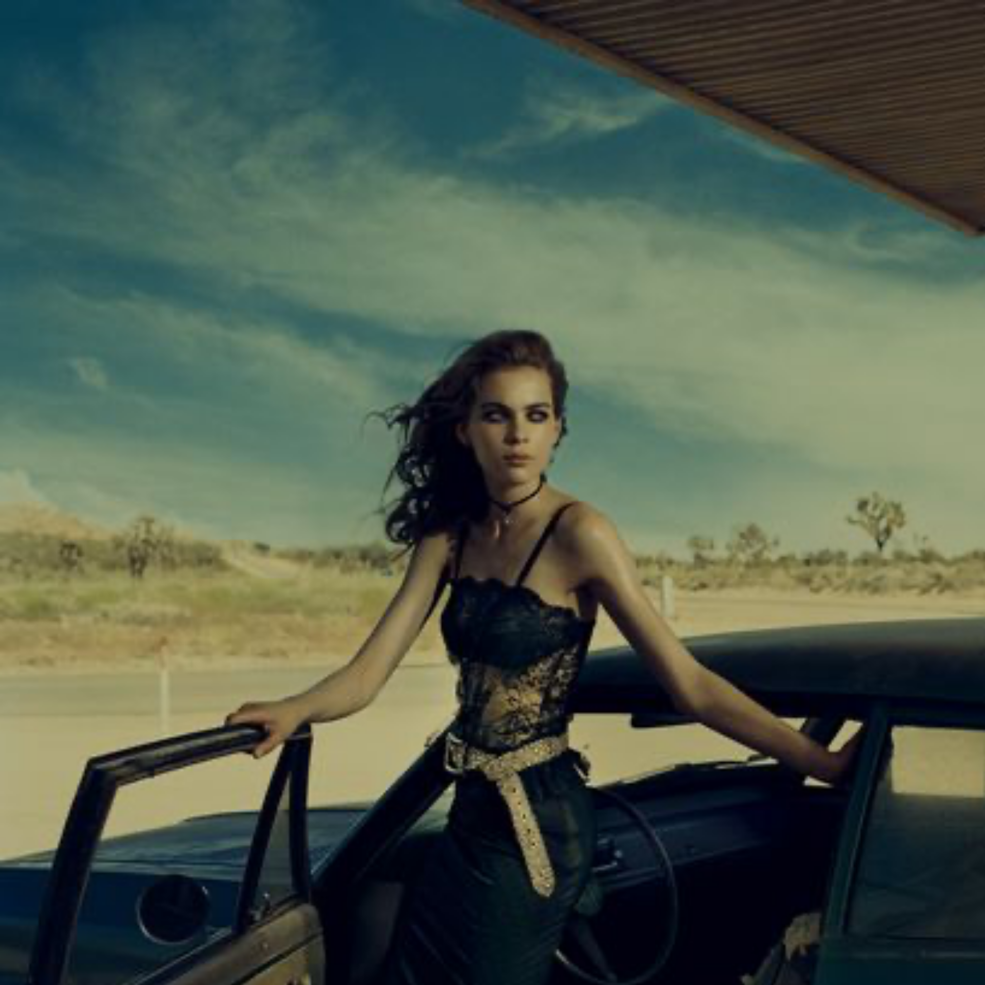 The wild run, Kim Norda , Nevada 2005