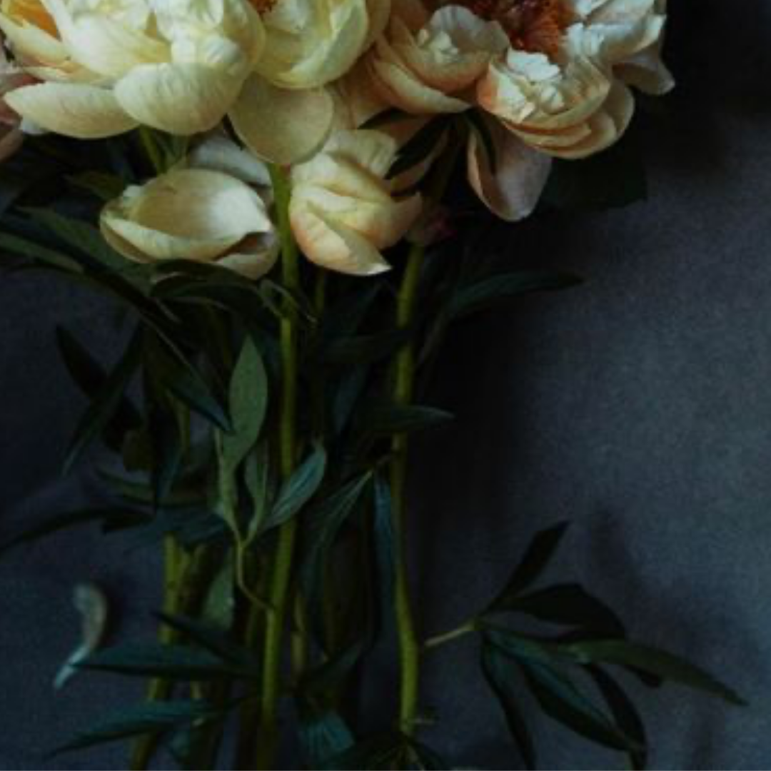 QUARANTINE FLOWERS, LONDON, 2021