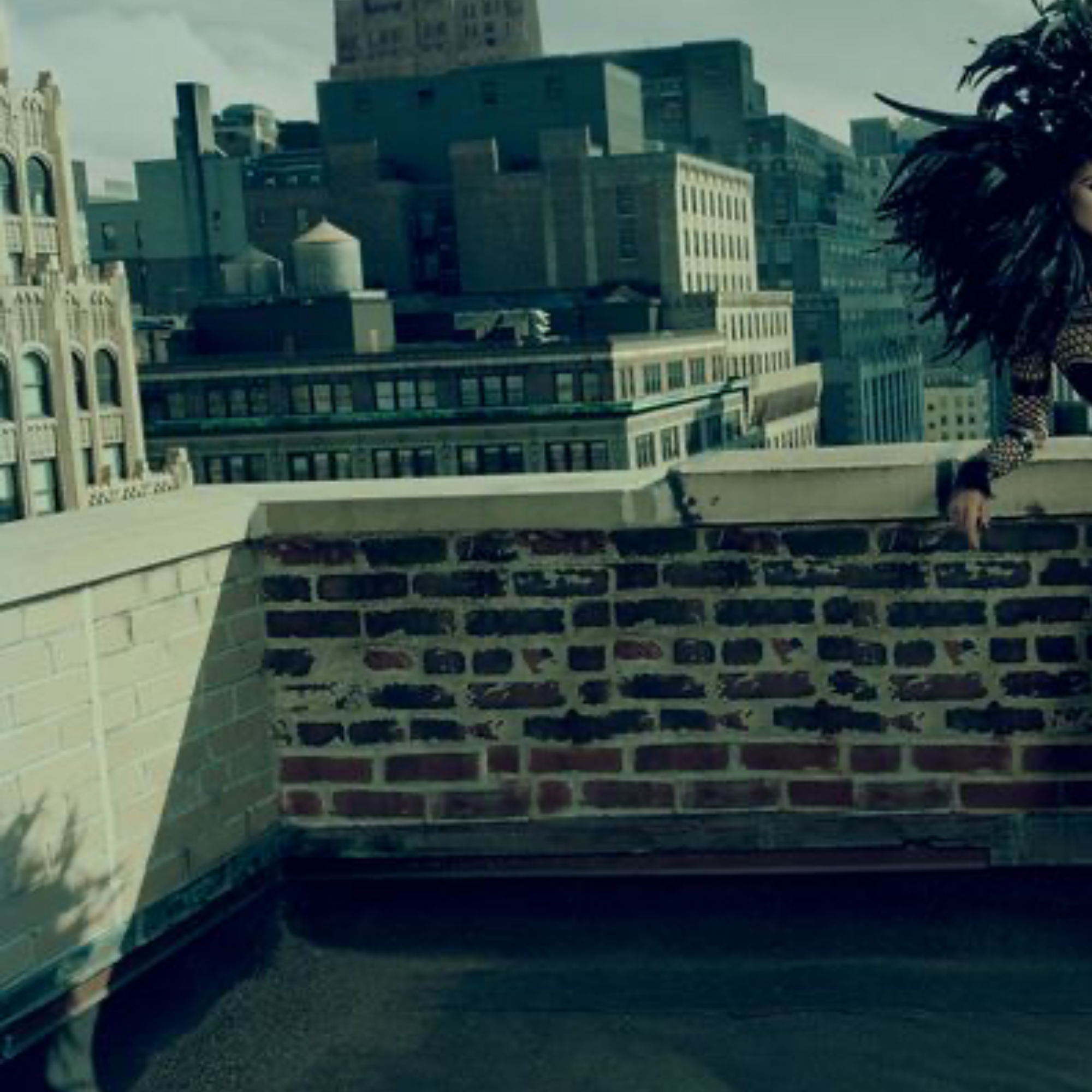 Tribute to Alexander Mc Queen, Shannon, New York City 2007