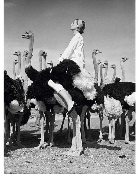 Wenda Parkinson on an ostrich, 1951