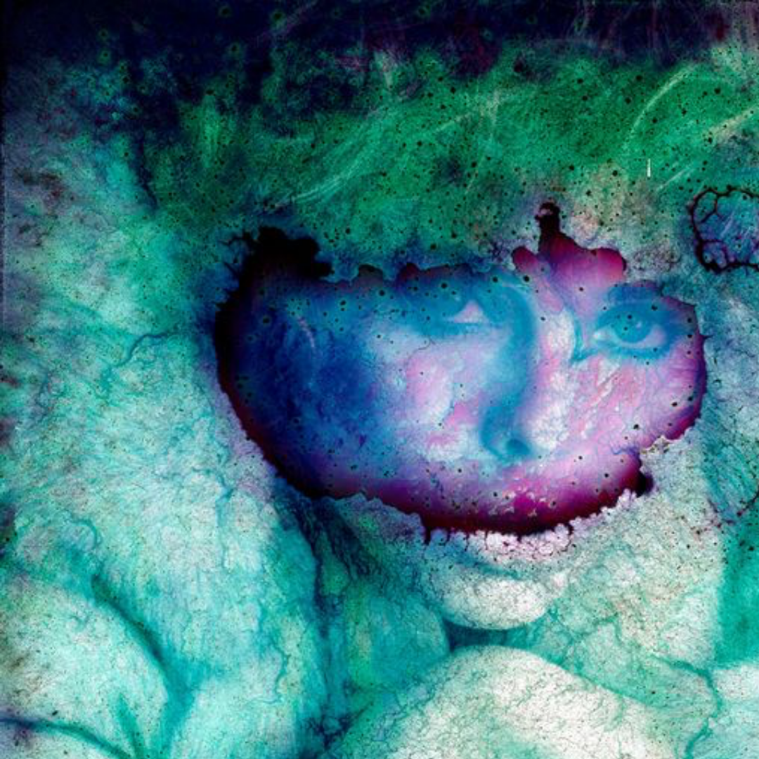 Deterioration Series 117, 1980 - 2013