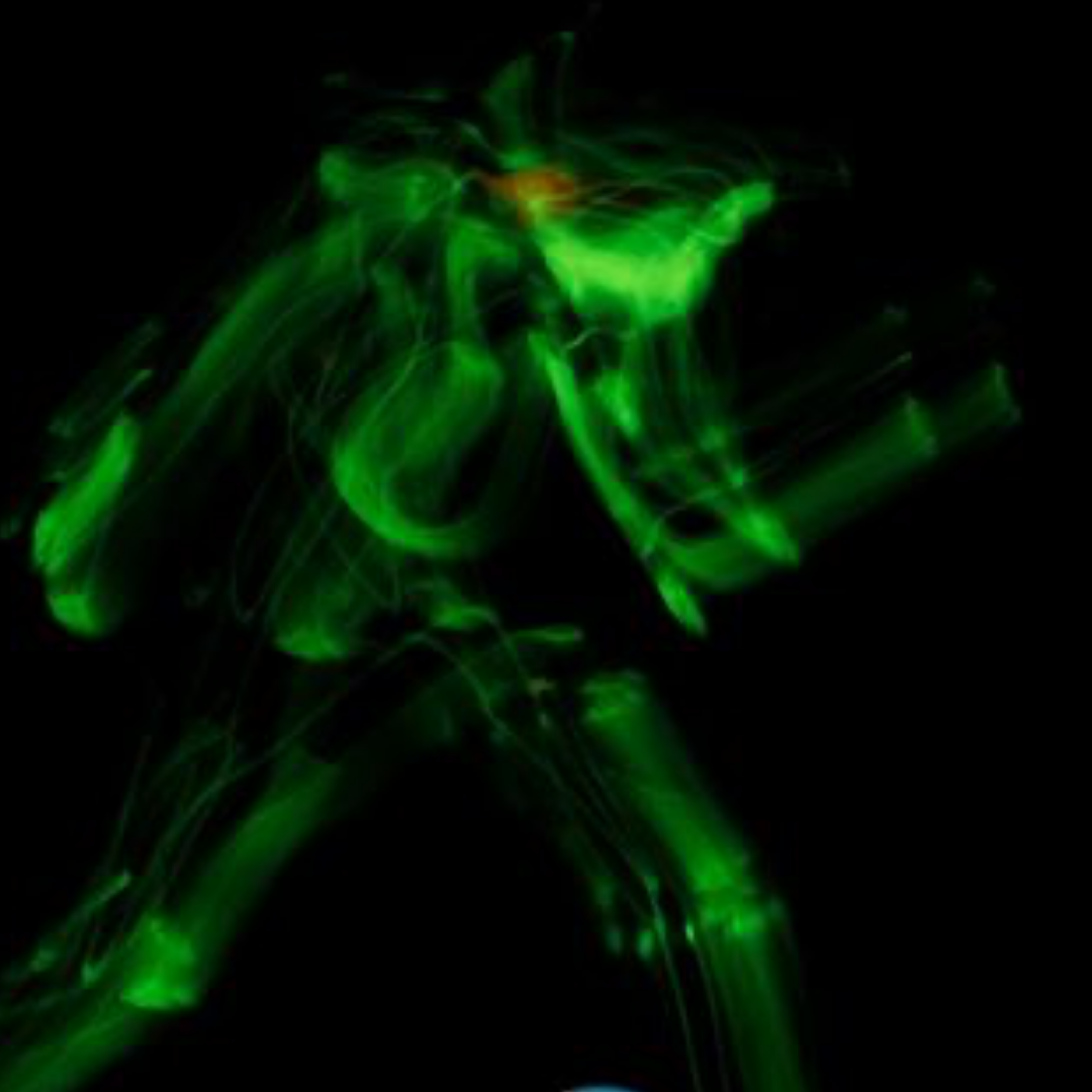 Kinetic Colors - Green Square