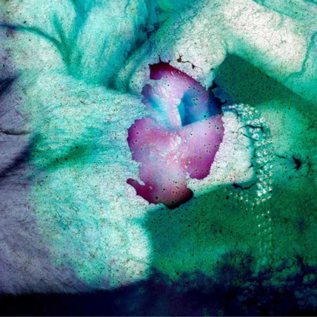 Deterioration Series 117, 1980 - 2013