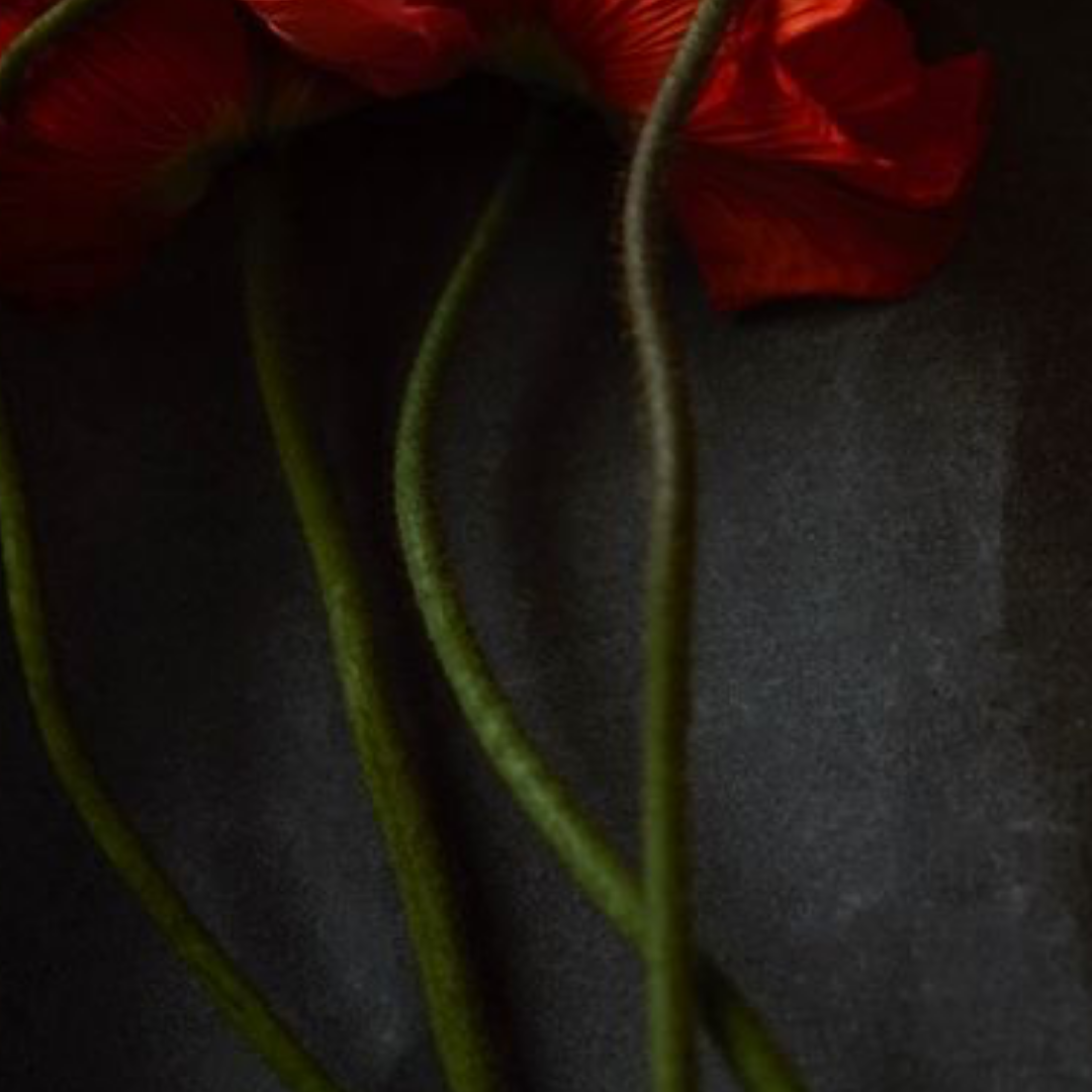 QUARANTINE FLOWERS, LONDON, 2021