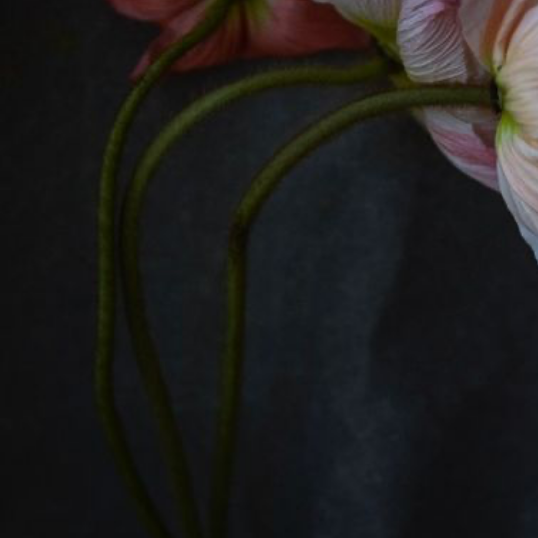 QUARANTINE FLOWERS, LONDON, 2021