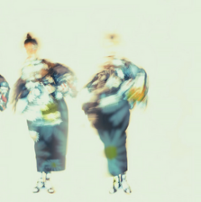 DIARY OF CHRYSANTHEMUM