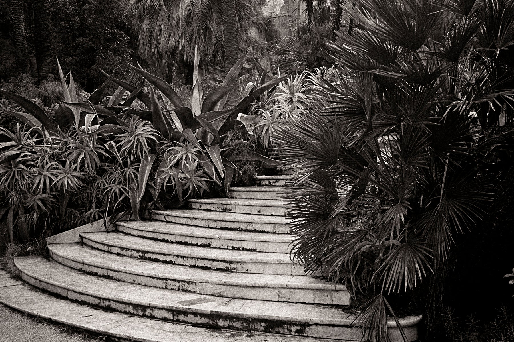 L’escalier, 1999, Naples