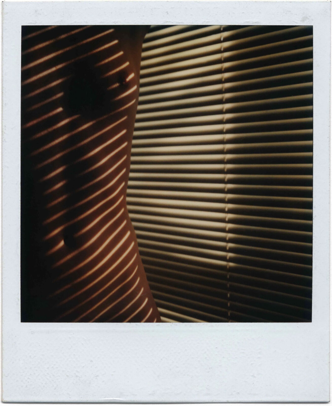 Blinds, 1981