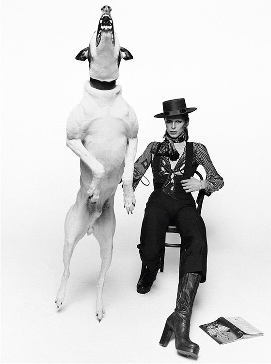 David Bowie, Diamond Dogs, 1974
