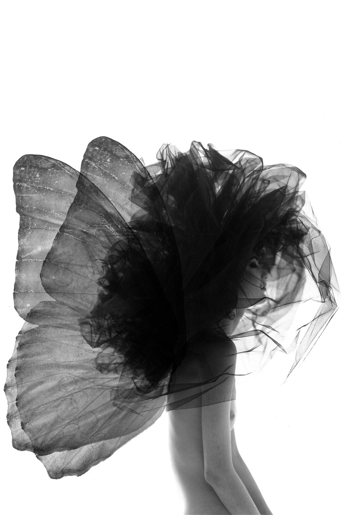 Metamorphosis 1, 2012