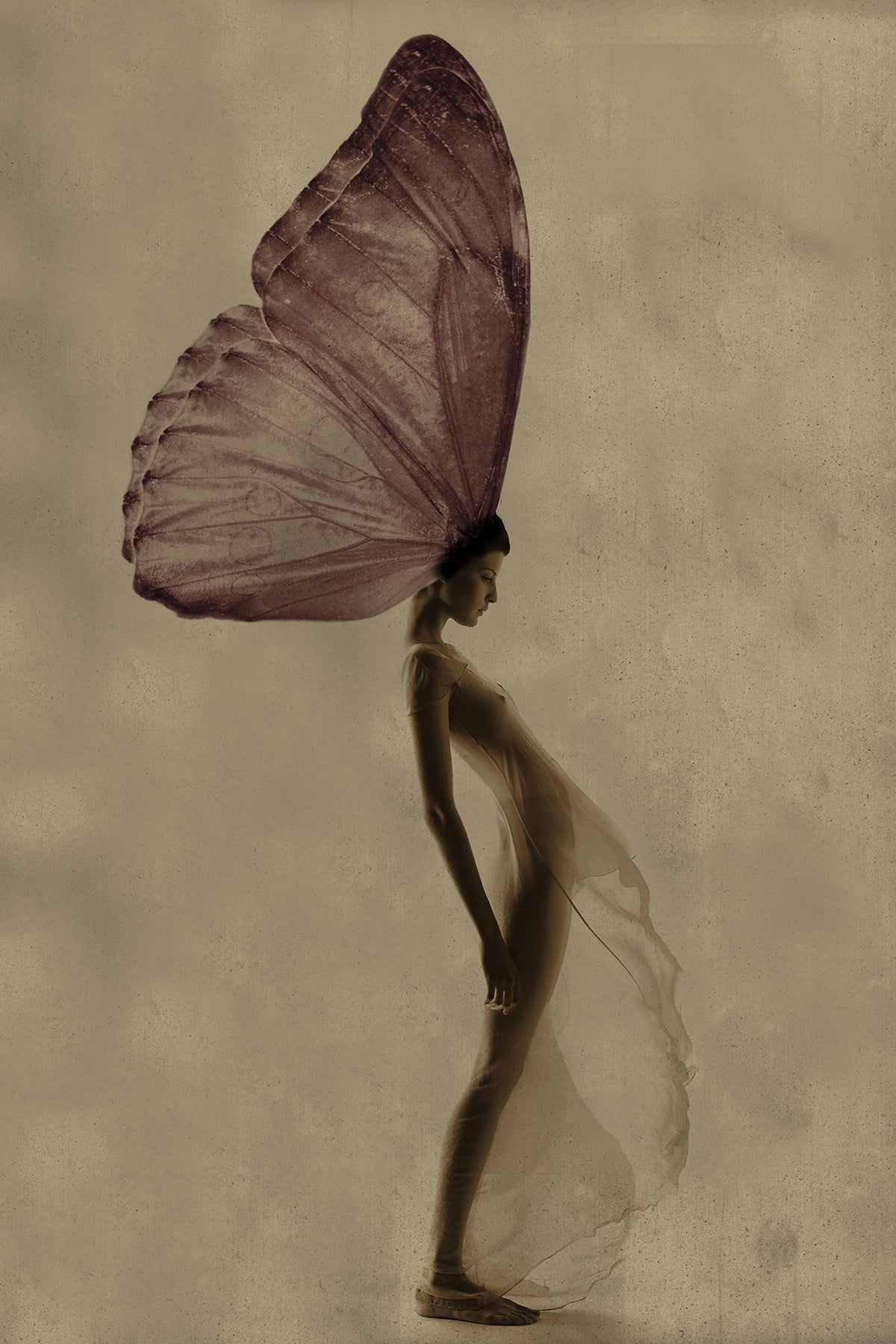 Metamorphosis 2, 2016