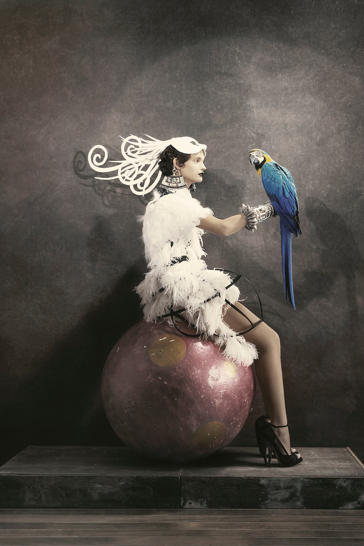 Untitled (Parrot), 2007