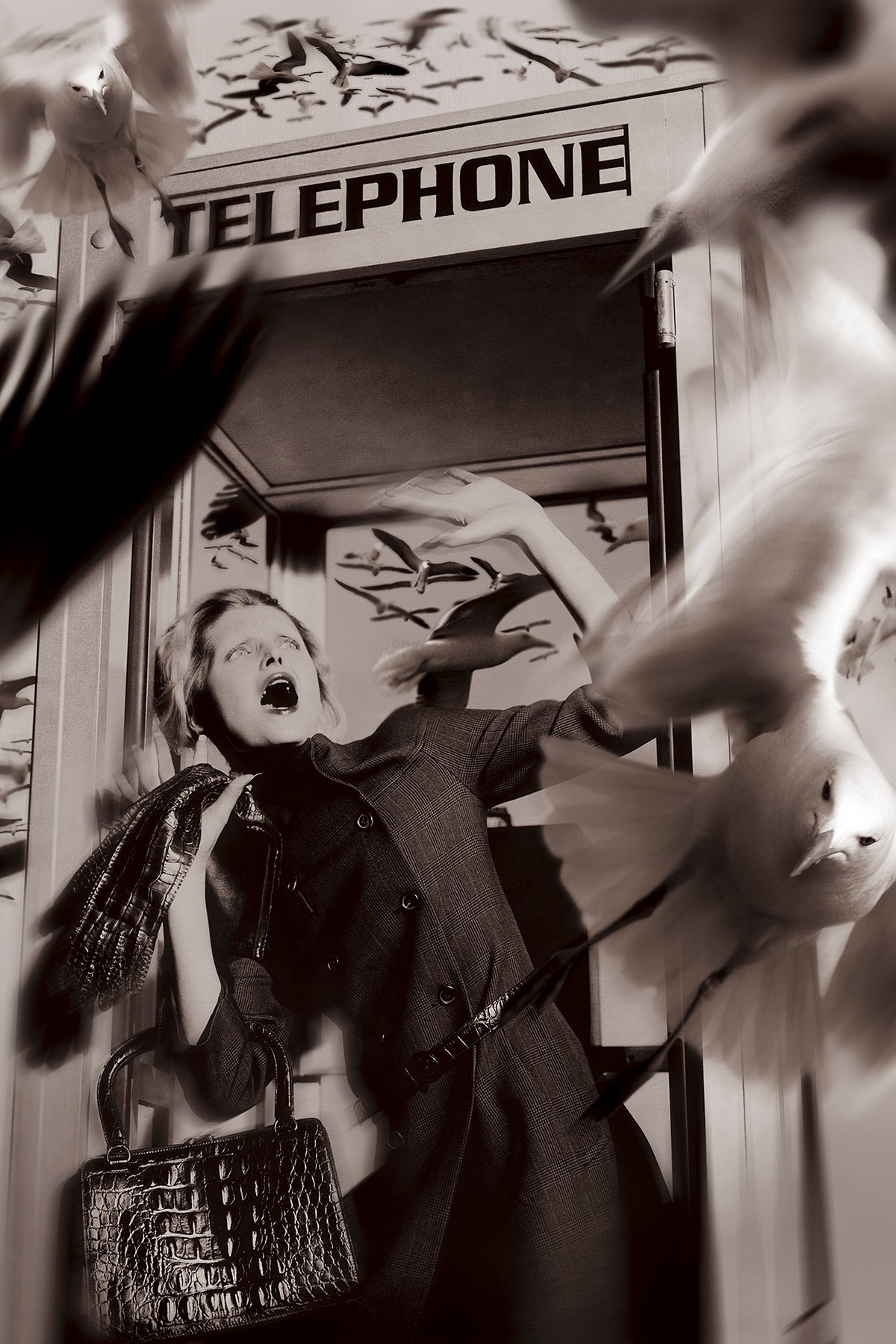 The Thrill of it All, 2003