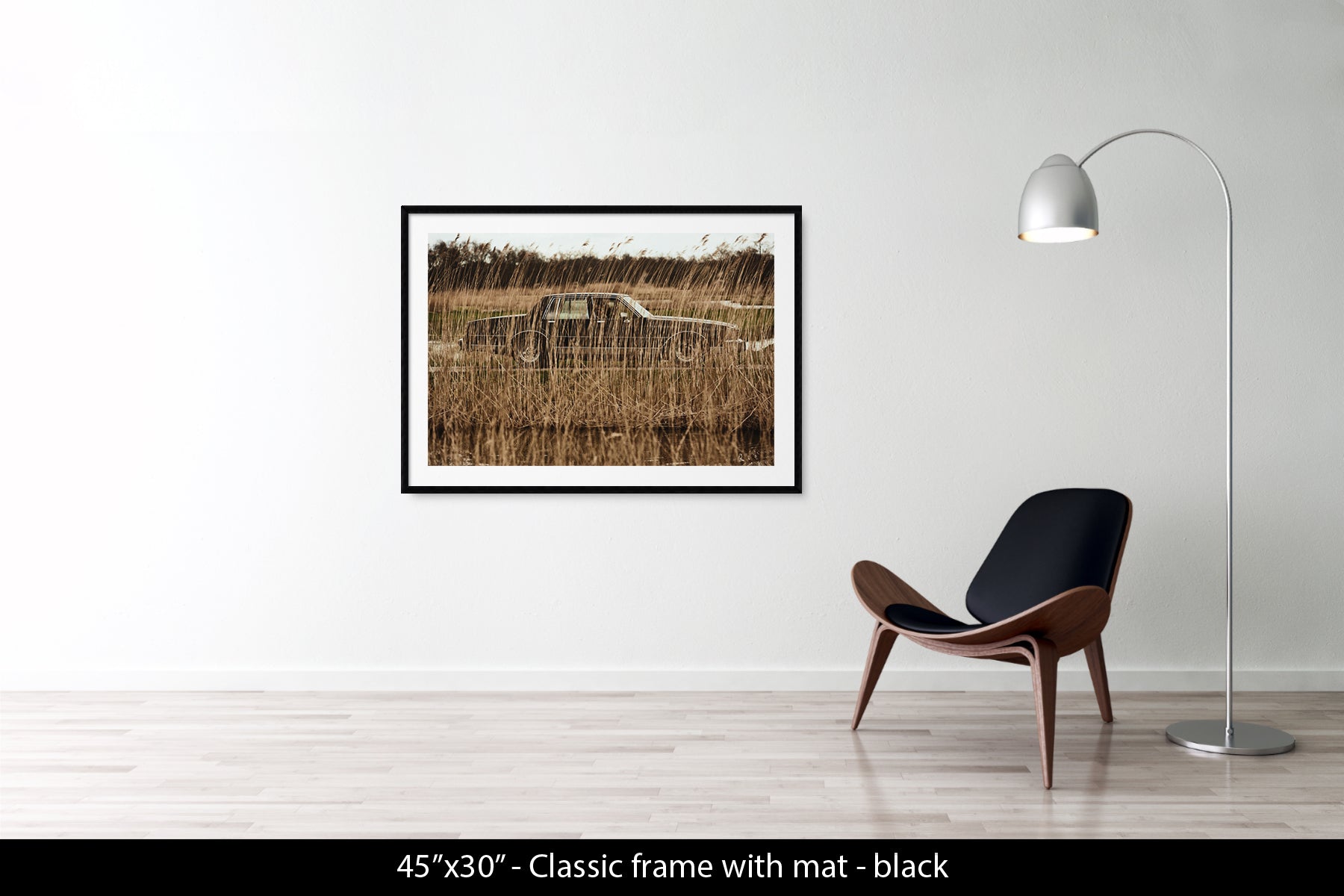 Untitled (Car in Reeds)