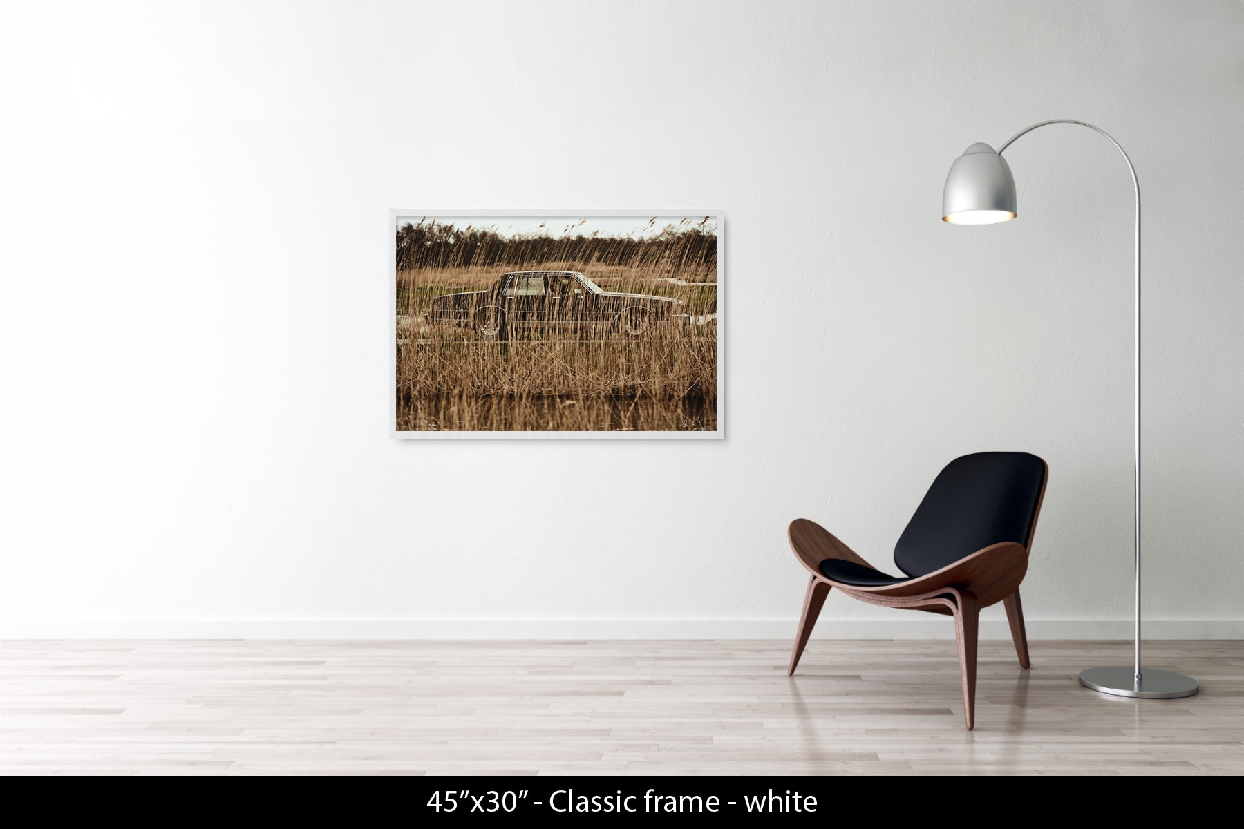 Untitled (Car in Reeds)