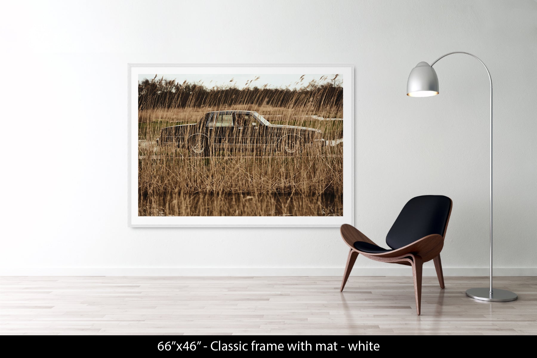 Untitled (Car in Reeds)