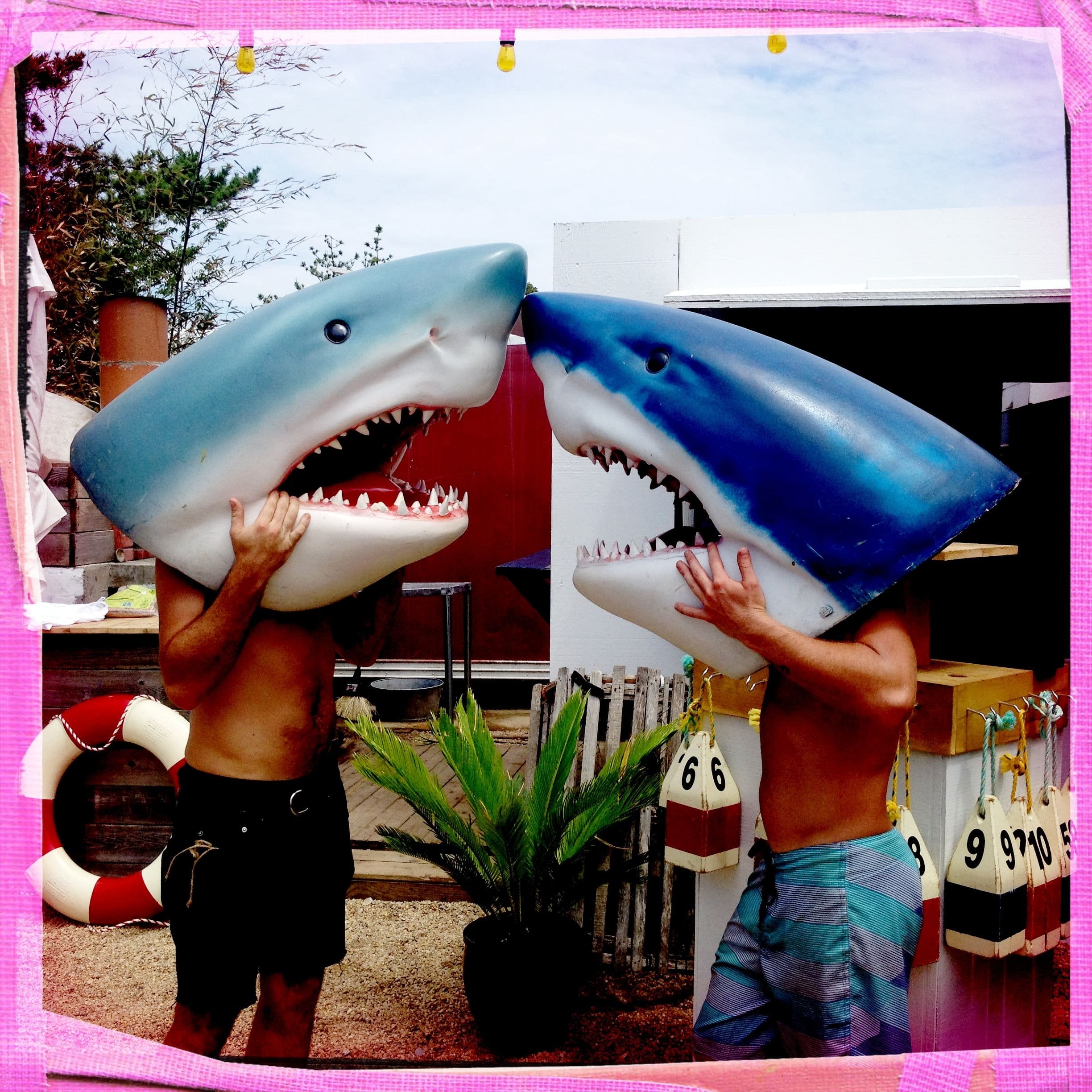 Montauk Dreaming, 07