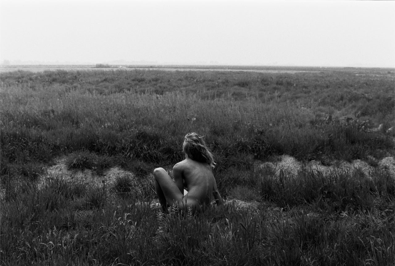 Field Reverie
