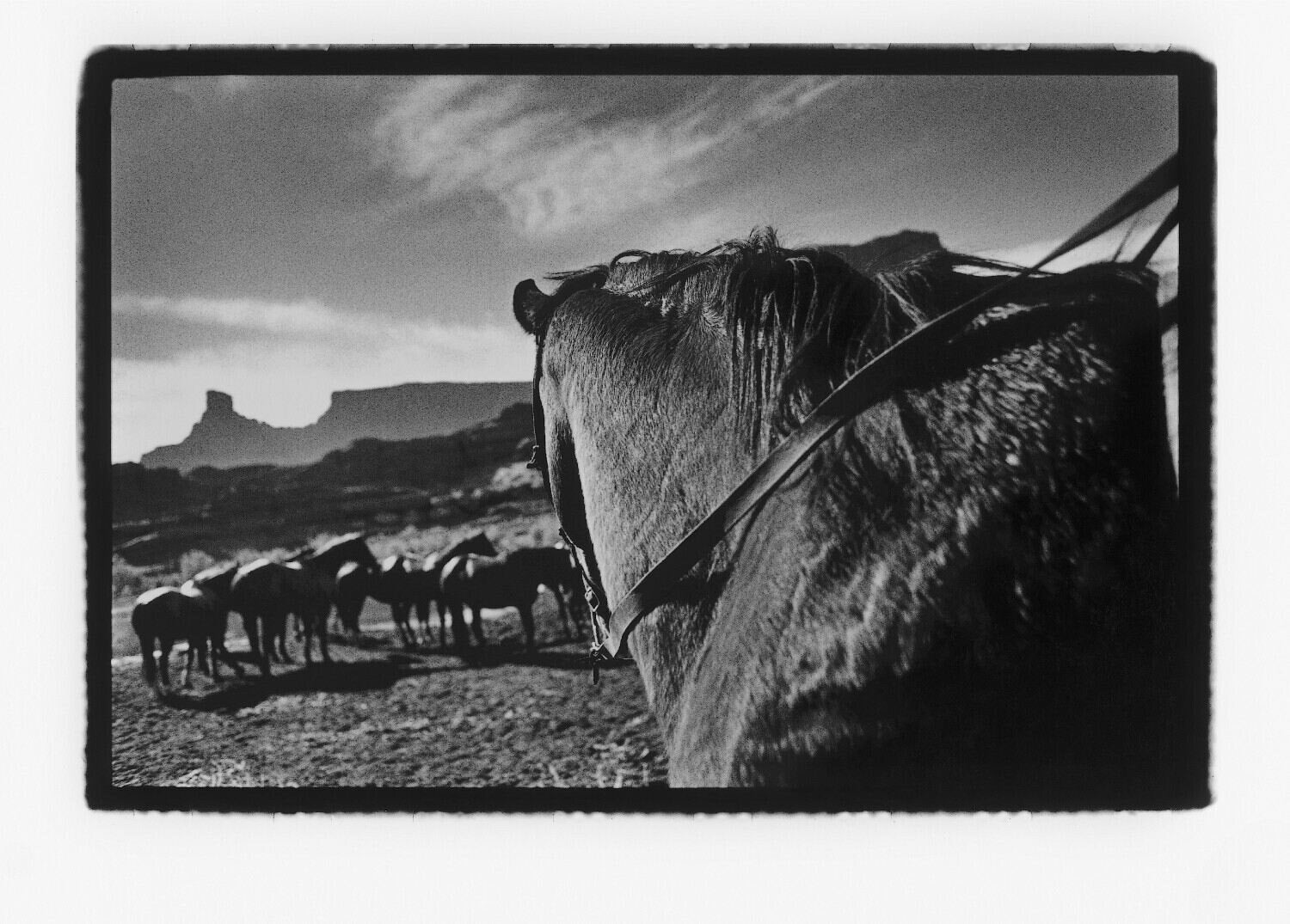 Moab III, Utah, 1999