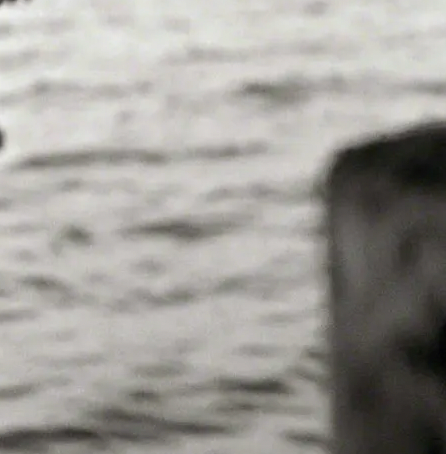 THE DIVER. WATER ISLAND, NY, 2000