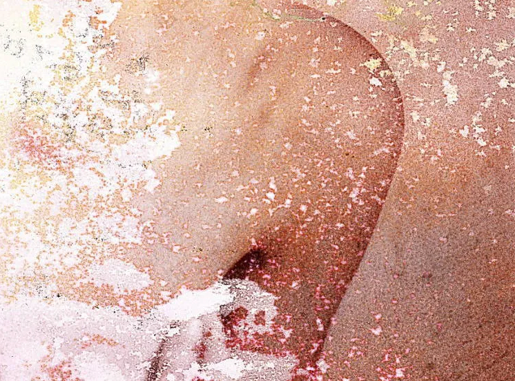 Wet Series 055V, 2018