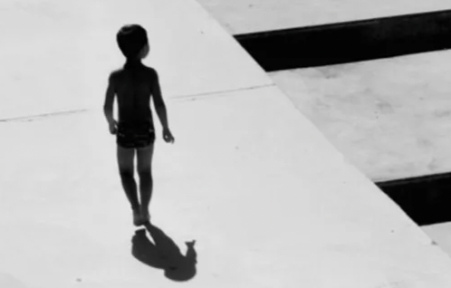 Crossing Shadows