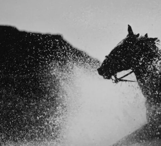 Moab III, Utah, 1999