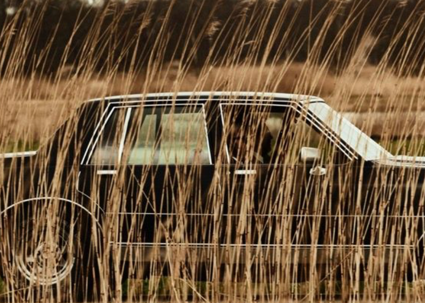 Untitled (Car in Reeds)
