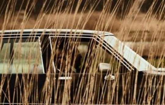 Untitled (Car in Reeds)